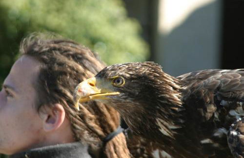 Wohnen im alten Kornspeicher - Foto 20