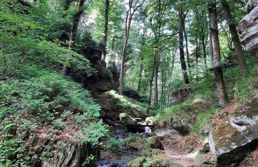Ferienhaus Chalet Cottage Ourtalblick 2km von Vianden-Lux - Foto 17