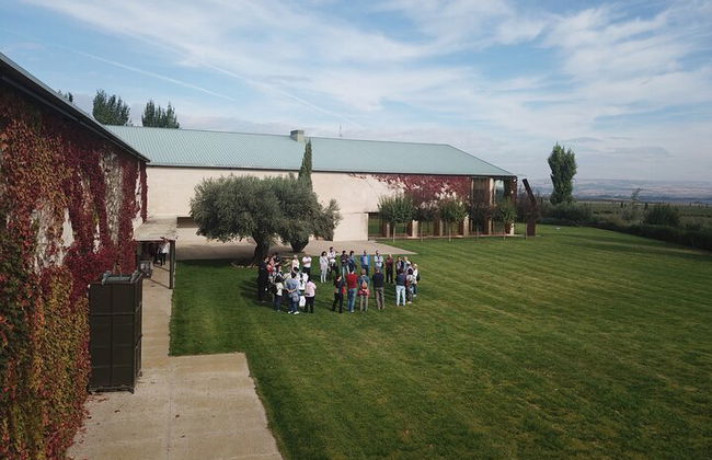 Oleotourism in Navarre. Visit and tasting of organic EVOO Artajo - Photo 6