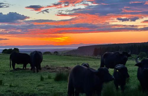 Primrose Straw Bale Cabin - Foto 17