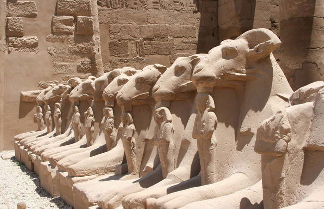 Visita guiada pelo Templo de Karnak - Foto 5