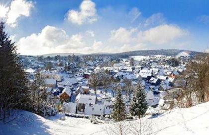 Gemütliche Ferienwohnung im Thüringer Wald, nahe des Rennsteigs - pure Erholung - Foto 18