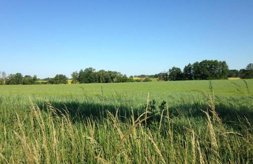 Ferienwohnung Mohnblume - Photo 31