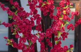 Les Perles du Ried - Gîte 8 - 15mn Europapark - proche Strasbourg Colmar - Foto 24