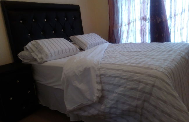 The Royal Princess Garden - Honeydew - Photo 9