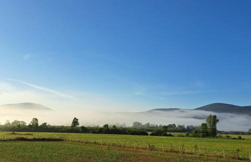 Propolis house - Foto 55