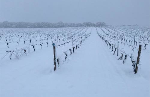 Casa Rural La Navarra - Foto 34