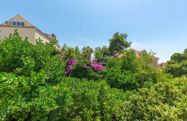 Studio Amy - Foto 19