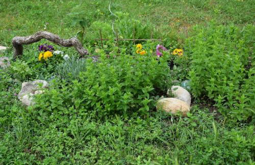 Studio garden and serenity, near Eurexpo and GroupamaStadium - Foto 24