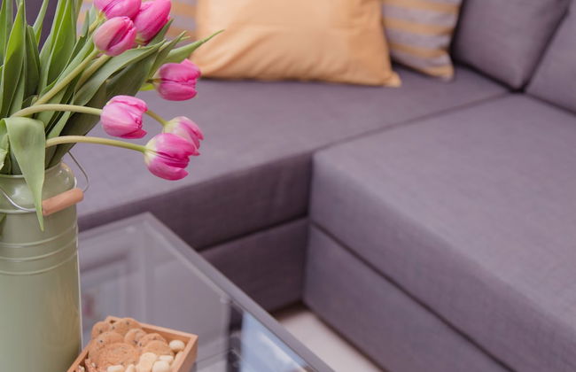 Shenkin Vilmar Apartments - Foto 62