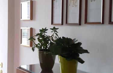 Casa vacanze La Madonnetta - Foto 14