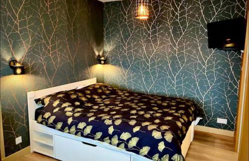 Charmant Studio proche Centre-ville - Foto 13