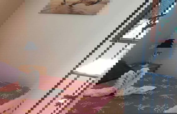 Jardins du Castel Gîtes Annick et J-Paul - Photo 8