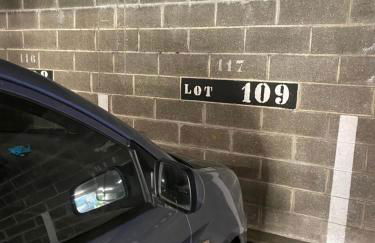 Studio miroir-arrivée autonome-animal ok - Photo 34