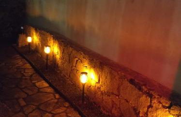 La lechuza blanca - Foto 19