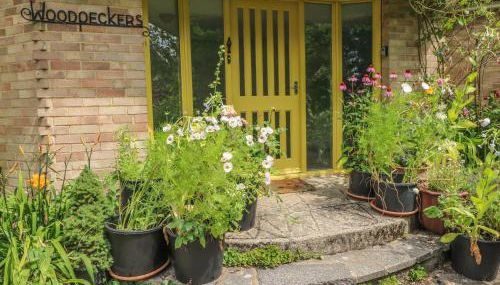 Little Yaffle - Foto 2