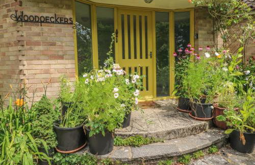 Little Yaffle - Foto 2