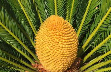 Villa CieloMare - Foto 49