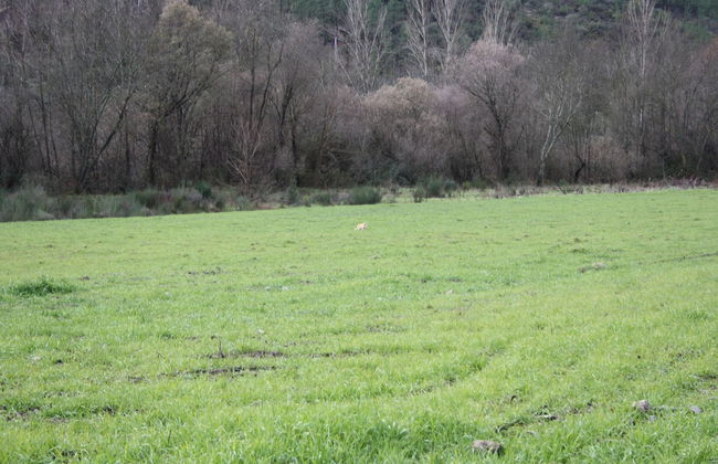 Casa Lagar Da Alagoa - Foto 54