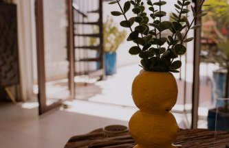 Finca Thiago - Foto 65