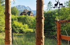 Domek pod Kozińcem SAUNA JACUZZI Zakopane - Foto 61