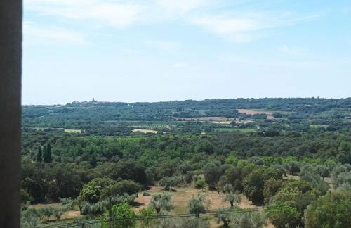 Apartamentos Rurales Rad Icarium - Photo 23