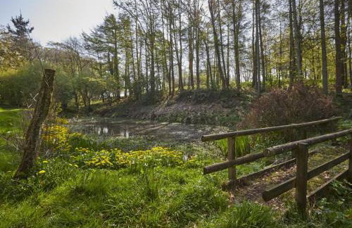 2 Bed in Boltongate SZ396 - Foto 12