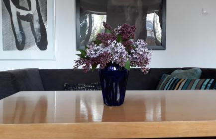 Dom Nałęczowski - Foto 10