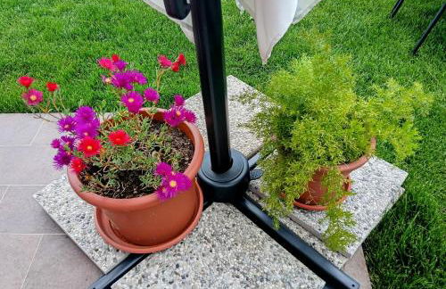 Stella di mare - appartamenti vista incantevole su Moneglia - Foto 79