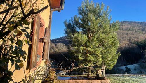 Gîte marguerite - Foto 2