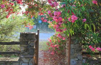 Villa Antonella - Photo 36