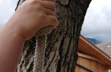 Ansitz Grustdorf - Foto 59