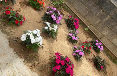 Casa da Zety - Foto 31