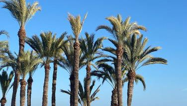 Villa Amarilla 4 Bed 3 Bath private pool - Foto 4