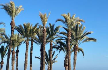 Villa Amarilla 4 Bed 3 Bath private pool - Photo 4