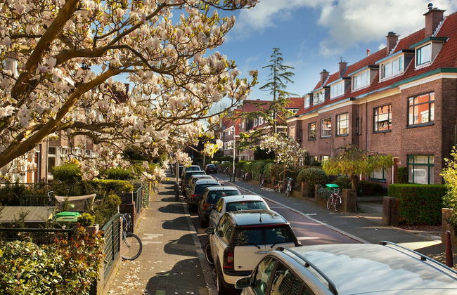 Stayci Serviced Apartments Royal Nassau - Photo 1