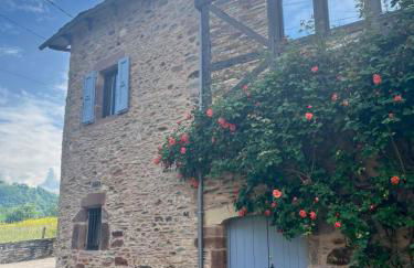 La maison d olivier - Photo 15