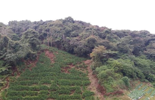 Aaron Apartment at Crown Imperial - Foto 23