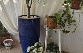 Un petit coin de paradis à Casa Bébé - Foto 51