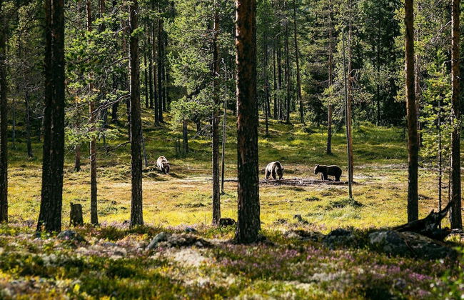 8 Person Holiday Home in Lofsdalen - Foto 22