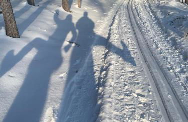 Schönes Ferienhaus 400m vom See, Sauna, Kamin, Klima, Garten - Foto 39