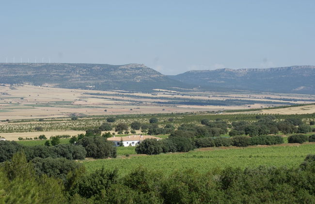 Finca El Romeral - Foto 56