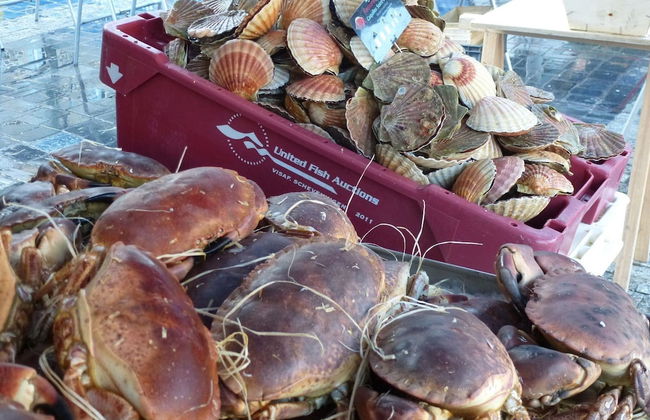 House in St. Quay Near Gr34 and Beaches - Photo 28