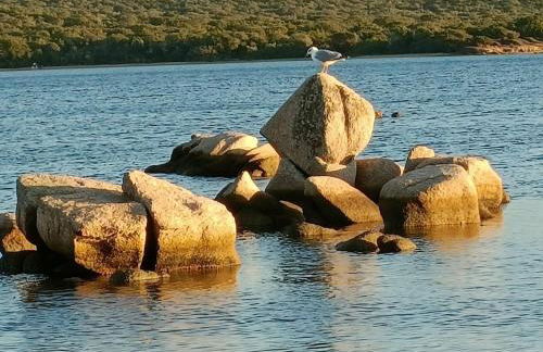 Appt neuf 2-4 pers avec loggia - Piscine chauffée - Bord de mer - Corse du Sud- Bonifacio - Foto 34
