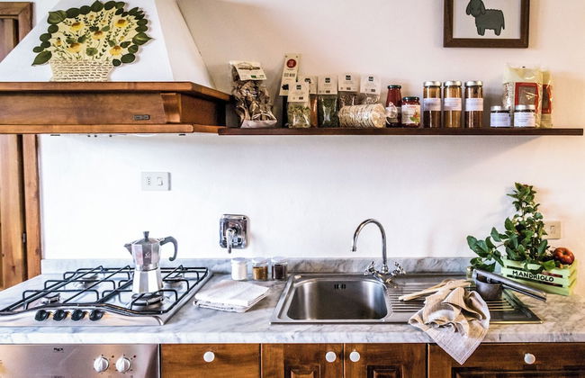 Bio Tenuta di Paganico - I Roggeti - Foto 40