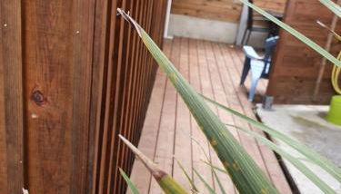 Lou Cachotte - Foto 2