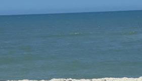 Cobertura Aconchegante Itaúna - Foto 2