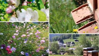 Antenbichllehen Ferienwohnungen - Foto 5