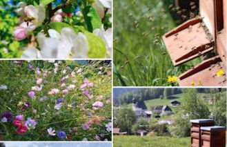 Antenbichllehen Ferienwohnungen - Foto 5