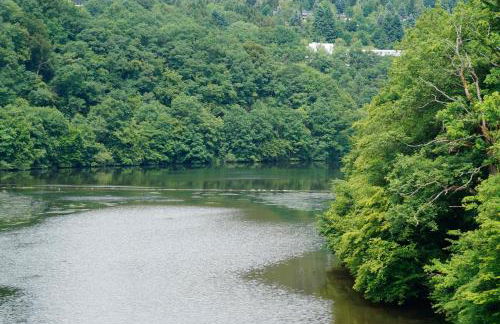 Ferienhaus Stausee Bitburg - Foto 25